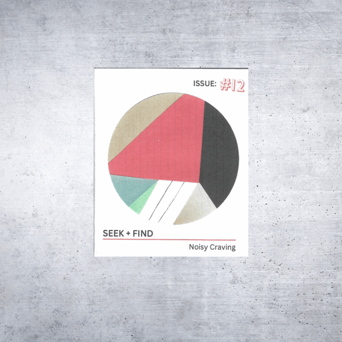 Cover of Seek + Find zine, Issue #12 titled “Noisy Craving,” featuring a bold, abstract circular collage in shades of coral, charcoal, cream, and mint, set against a white background.